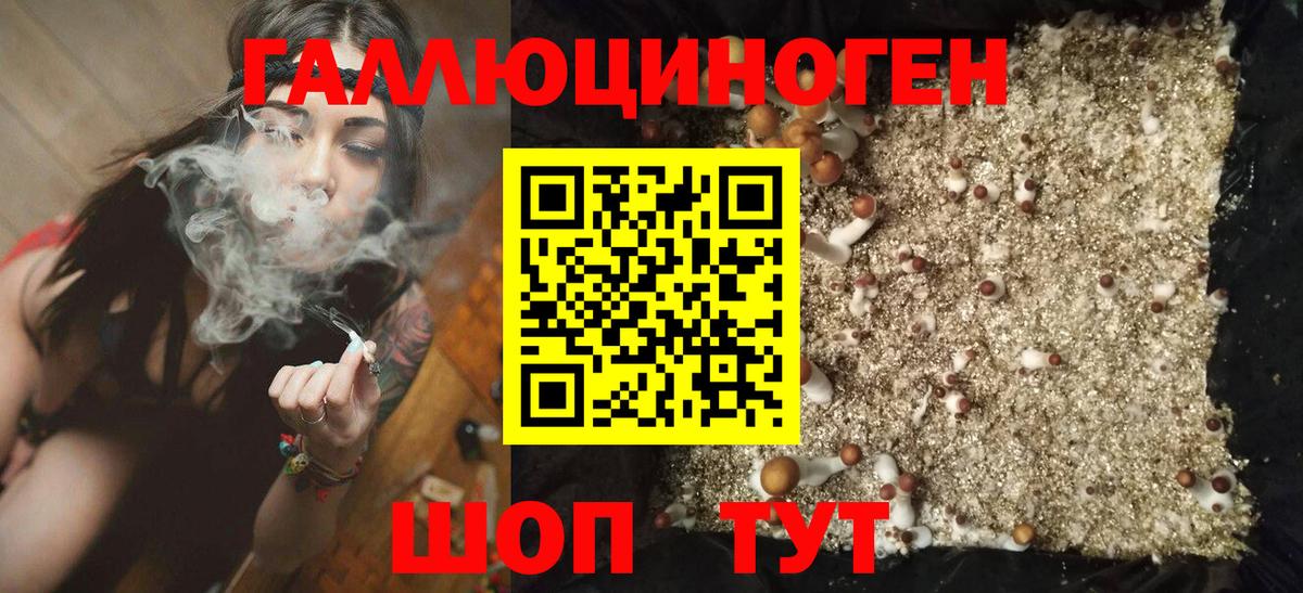 Похвистнево  Галлюциногенные грибы мухоморы  Вход с VPN 