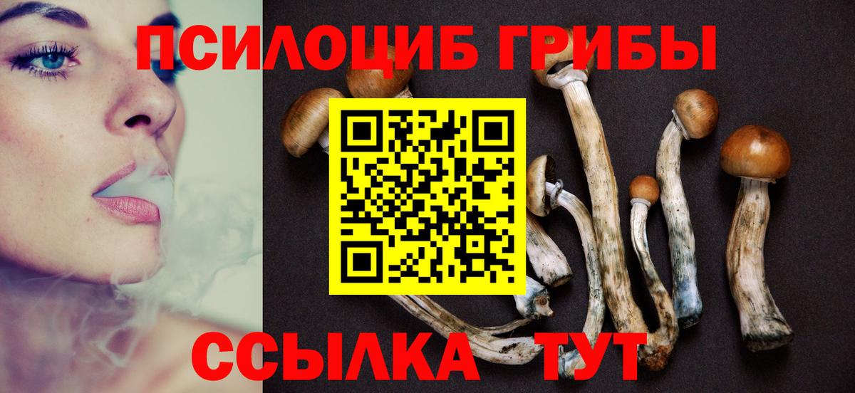 Галлюциногенные грибы MAGIC MUSHROOMS Похвистнево