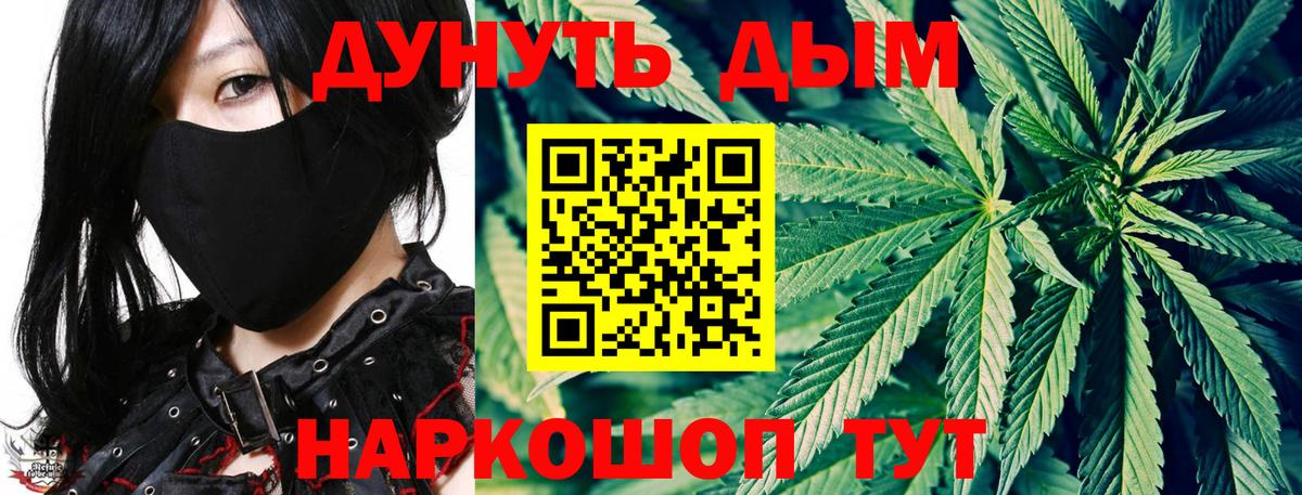 Конопля конопля  Вход с VPN  Бошки марихуана сатива  Похвистнево  Бошки марихуана OG Kush 
